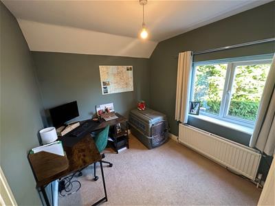 Picture 27